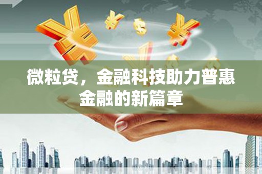 虎林微粒贷，金融科技助力普惠金融的新篇章