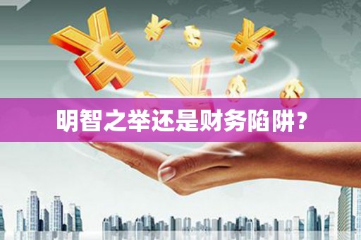 盐山明智之举还是财务陷阱？