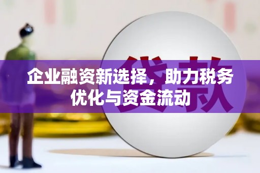 隆子企业融资新选择，助力税务优化与资金流动