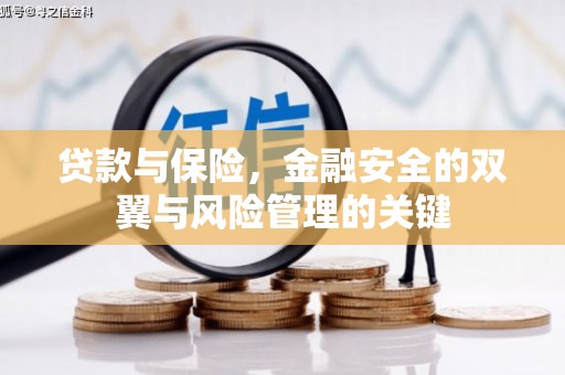 凤台贷款与保险，金融安全的双翼与风险管理的关键
