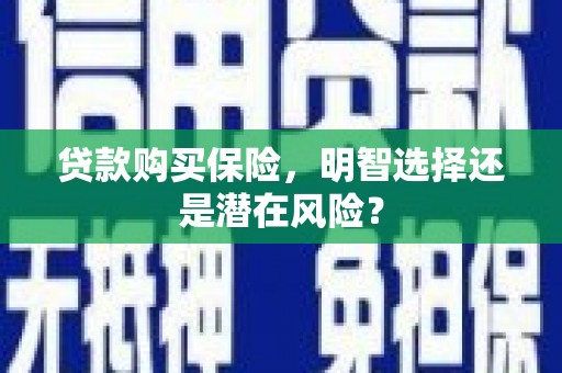惠济贷款购买保险，明智选择还是潜在风险？