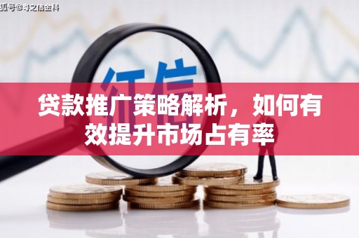 清新贷款推广策略解析，如何有效提升市场占有率
