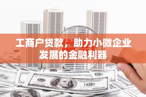 汉阳工商户贷款，助力小微企业发展的金融利器