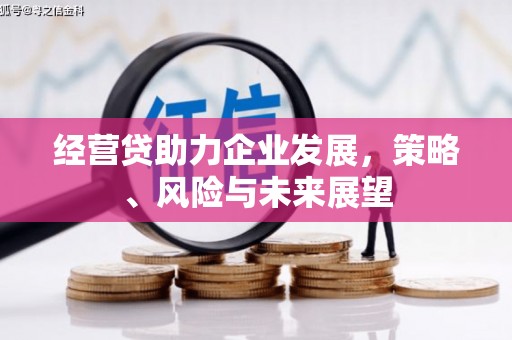 双清经营贷助力企业发展，策略、风险与未来展望