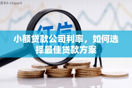 右江小额贷款公司利率，如何选择最佳贷款方案