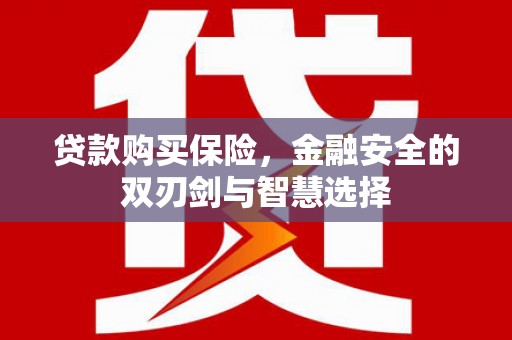 田尾贷款购买保险，金融安全的双刃剑与智慧选择