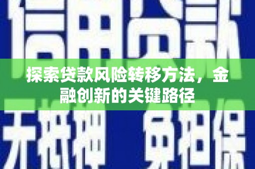 特克斯探索贷款风险转移方法，金融创新的关键路径