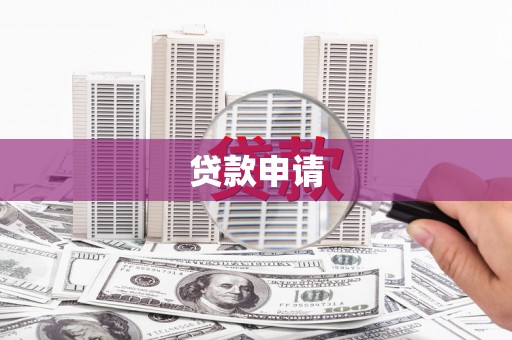 德钦贷款申请