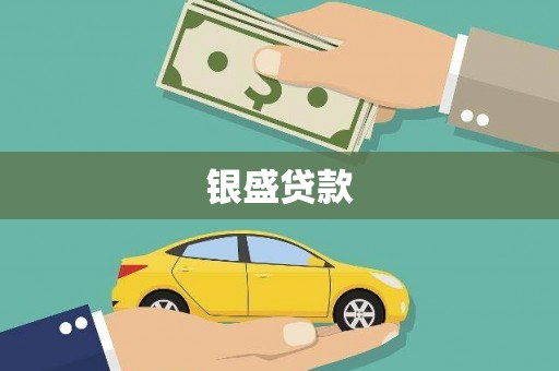 龙游银盛贷款