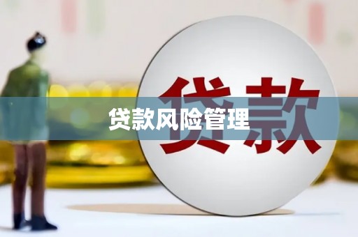 岢岚贷款风险管理