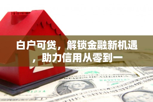 阿巴嘎旗白户可贷，解锁金融新机遇，助力信用从零到一