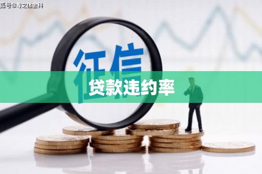 大安贷款违约率