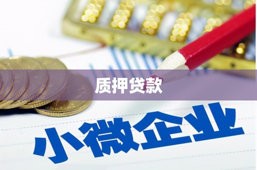 龙胜质押贷款