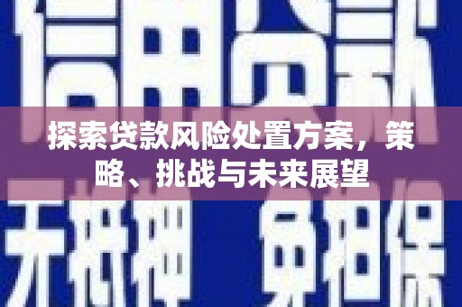 玉树探索贷款风险处置方案，策略、挑战与未来展望