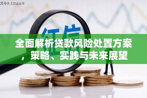 武清全面解析贷款风险处置方案，策略、实践与未来展望
