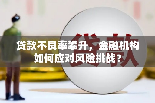 银川贷款不良率攀升，金融机构如何应对风险挑战？