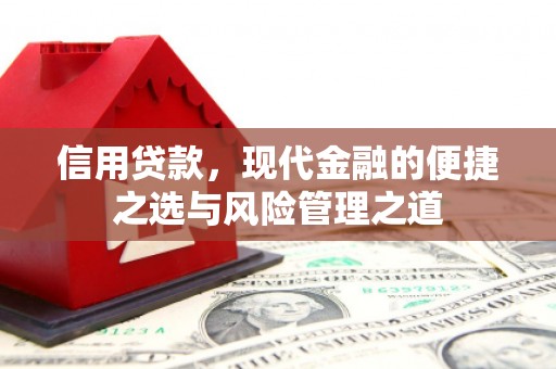 定海信用贷款，现代金融的便捷之选与风险管理之道