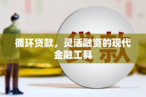 濮阳循环贷款，灵活融资的现代金融工具