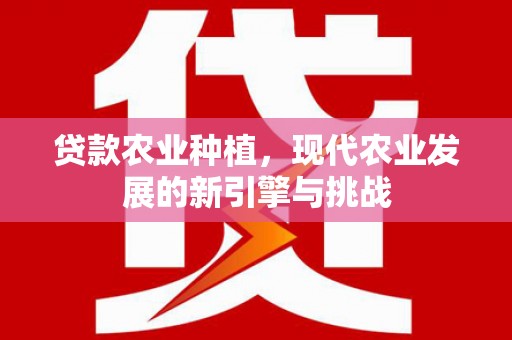 墨江贷款农业种植，现代农业发展的新引擎与挑战