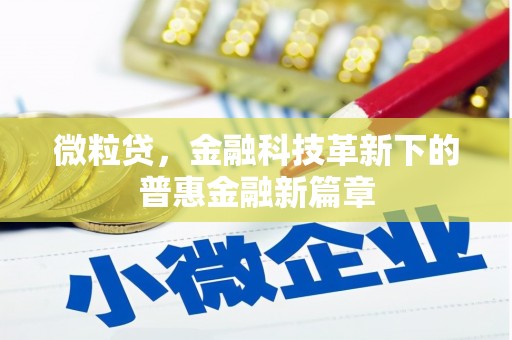 洋县微粒贷，金融科技革新下的普惠金融新篇章