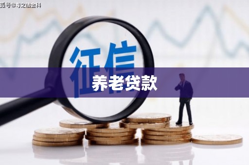 迭部养老贷款