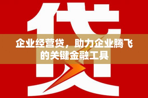 遂宁企业经营贷，助力企业腾飞的关键金融工具