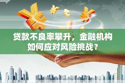 永德贷款不良率攀升，金融机构如何应对风险挑战？