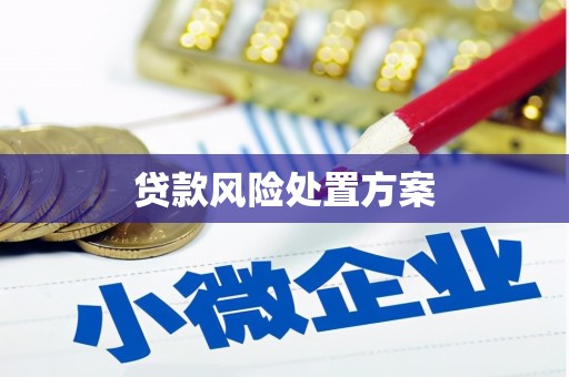 鹿泉贷款风险处置方案