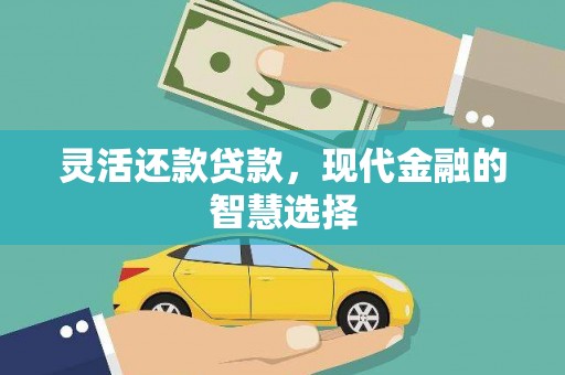 六枝灵活还款贷款，现代金融的智慧选择