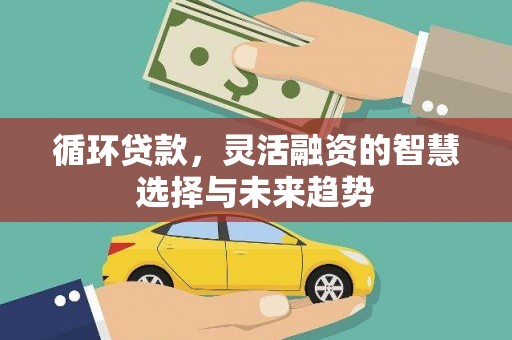 海原循环贷款，灵活融资的智慧选择与未来趋势