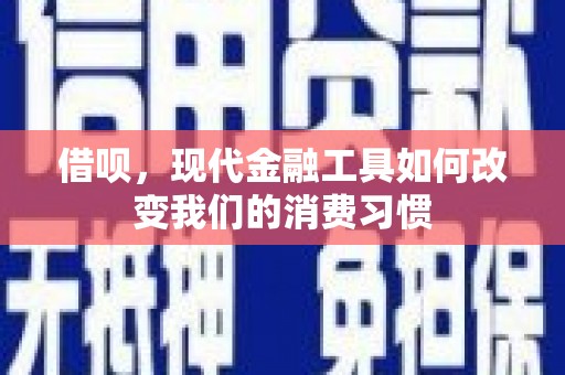 东坡借呗，现代金融工具如何改变我们的消费习惯