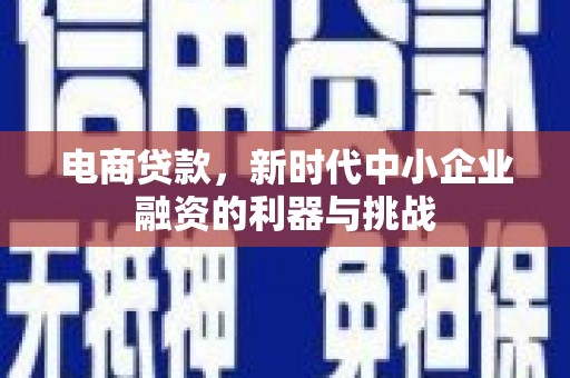 阿里山电商贷款，新时代中小企业融资的利器与挑战