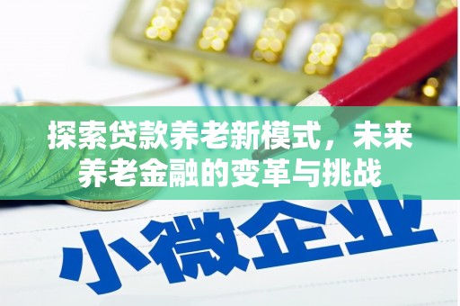 金湖探索贷款养老新模式，未来养老金融的变革与挑战