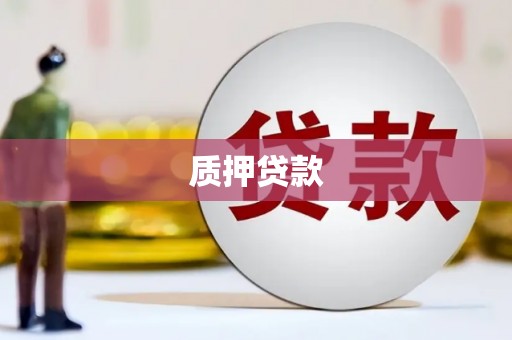 西海岸质押贷款