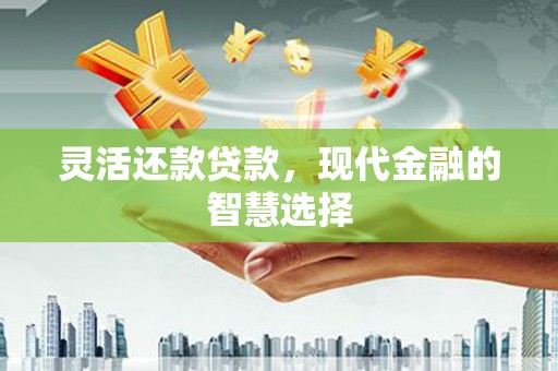 大内灵活还款贷款，现代金融的智慧选择