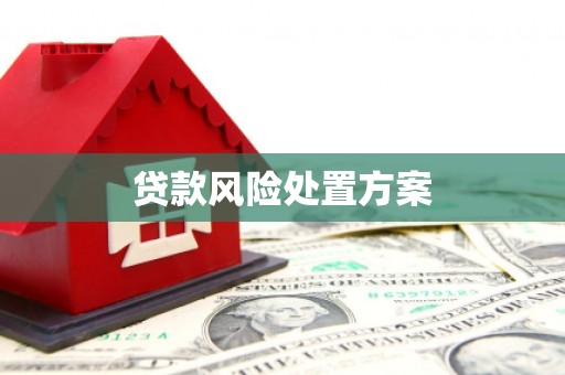 丹凤贷款风险处置方案