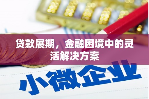 芗城贷款展期，金融困境中的灵活解决方案