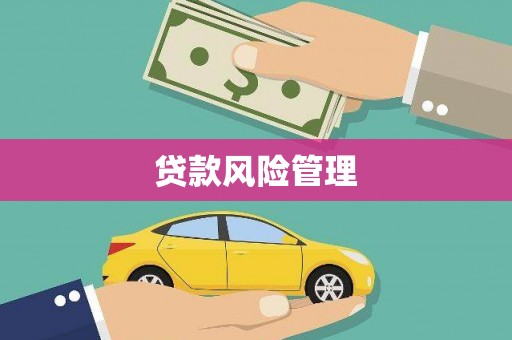 马尔康贷款风险管理