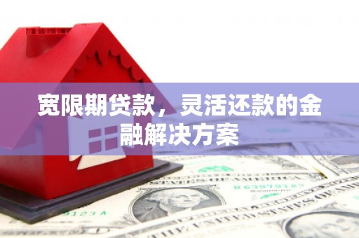 镇原宽限期贷款，灵活还款的金融解决方案