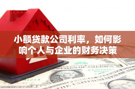 无极小额贷款公司利率，如何影响个人与企业的财务决策