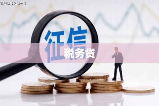 潜江税务贷