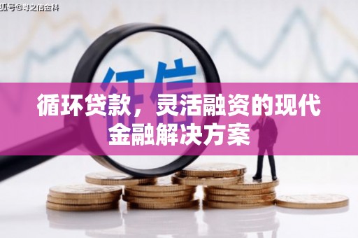 沈河循环贷款，灵活融资的现代金融解决方案