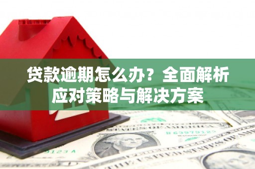 燕巢贷款逾期怎么办？全面解析应对策略与解决方案