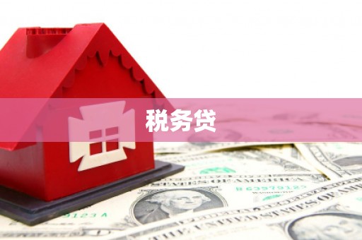 宣城税务贷