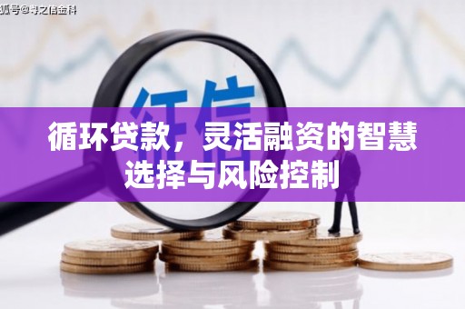 樊城循环贷款，灵活融资的智慧选择与风险控制