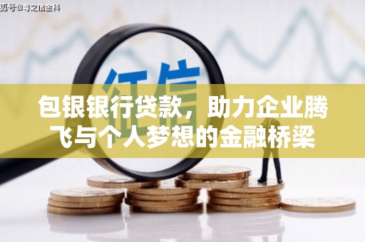囊谦包银银行贷款，助力企业腾飞与个人梦想的金融桥梁