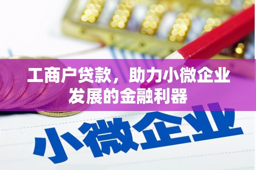 杂多工商户贷款，助力小微企业发展的金融利器