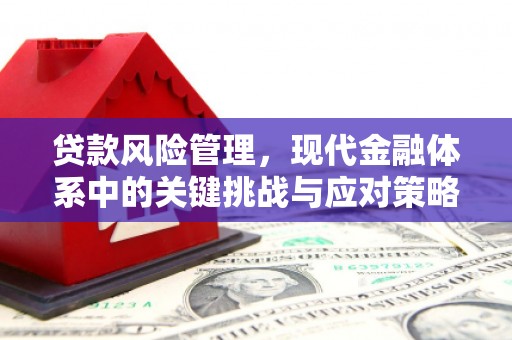 射阳贷款风险管理，现代金融体系中的关键挑战与应对策略