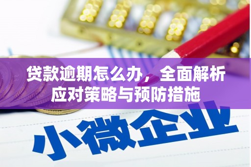 常山贷款逾期怎么办，全面解析应对策略与预防措施