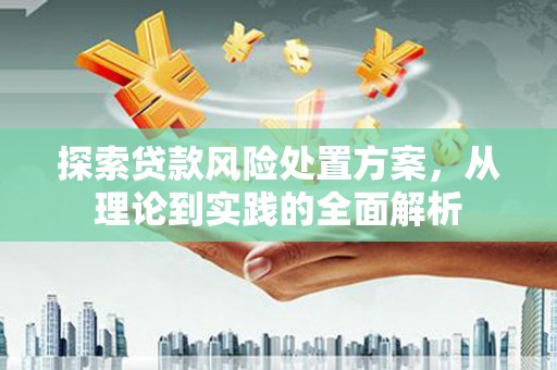 布拖探索贷款风险处置方案，从理论到实践的全面解析